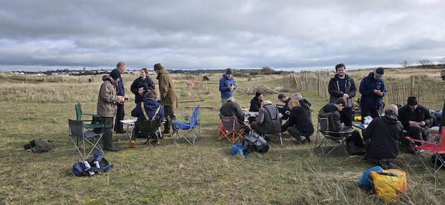 Catch processing 2026 02 21